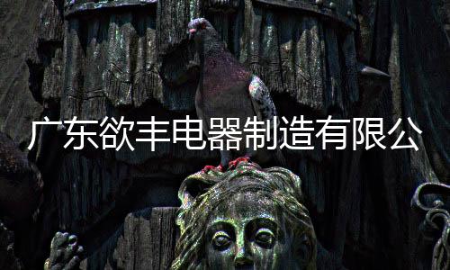 廣東欲豐電器制造有限公司榮獲“防墜落裝置十大品牌”稱號