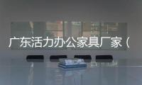 廣東活力辦公家具廠家（廣東活力辦公家具）
