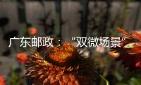 廣東郵政：“雙微場景”生態賦能金融發展