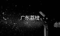 廣東荔枝