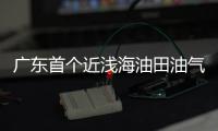 廣東首個近淺海油田油氣上岸項目首座平臺結構安裝完工