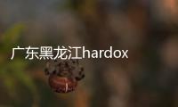 廣東黑龍江hardox400耐磨板市場報價