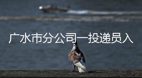 廣水市分公司一投遞員入選“荊楚楷模”