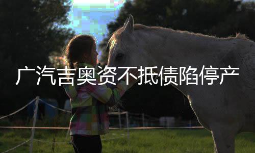 廣汽吉奧資不抵債陷停產(chǎn)風(fēng)波 引經(jīng)銷商維權(quán)