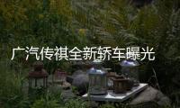 廣汽傳祺全新轎車曝光 競爭吉利帝豪