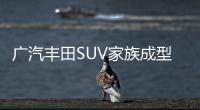 廣汽豐田SUV家族成型 實拍威颯&鋒蘭達