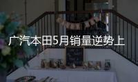 廣汽本田5月銷量逆勢上揚 雅閣暴漲149%