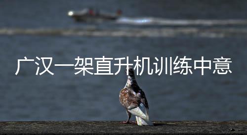 廣漢一架直升機訓練中意外墜落 機上兩人受傷(圖)【熱點新聞】風尚中國網