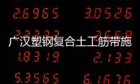 廣漢塑鋼復合土工筋帶施工方案