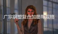 廣宗鋼塑復合加筋帶規格