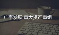 廣宇發(fā)展:重大資產(chǎn)重組后新增關(guān)聯(lián)擔(dān)保金額57.55億元