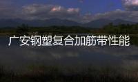 廣安鋼塑復合加筋帶性能說明
