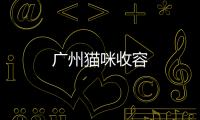 廣州貓咪收容