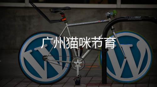 廣州貓咪節育