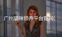 廣州貓咪領養平臺官網(廣州貓咪領養平臺有哪些)