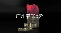 廣州貓咪b超