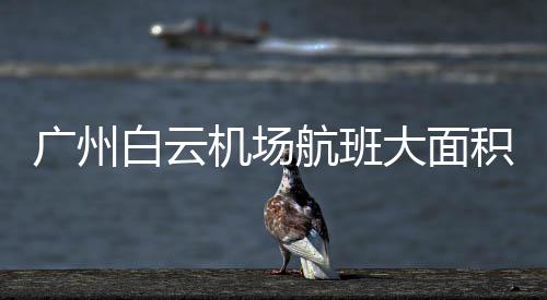 廣州白云機場航班大面積延誤 惡劣天氣影響超400架次