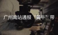 廣州南站通報“黃牛”帶客闖卡上車：依法堅決打擊