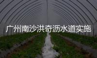 廣州南沙洪奇瀝水道實施臨時交通管制