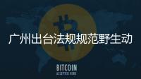 廣州出臺法規規范野生動物放生，律師：是未來“放生立法”的有益實踐