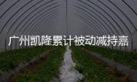 廣州凱隆累計被動減持嘉凱城5412.6萬股,占總股本3%