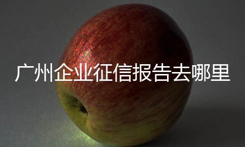 廣州企業征信報告去哪里打（企業征信報告去哪里打）