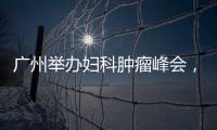 廣州舉辦婦科腫瘤峰會，帶來宮頸癌、卵巢癌等新診療理念