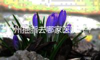 廣州抽脂去哪家醫(yī)院好？推薦去廣州做抽脂比較好的廣州醫(yī)院更可靠一些