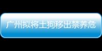 廣州擬將土狗移出禁養危險犬名錄征求意見中