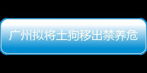 廣州擬將土狗移出禁養危險犬名錄 征求意見中