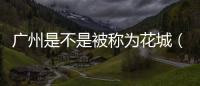 廣州是不是被稱為花城（廣州為什么叫花城）