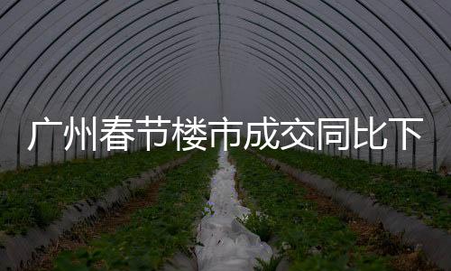 廣州春節樓市成交同比下滑超六成,政策效果有待釋放