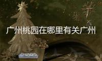 廣州桃園在哪里有關廣州桃園軟件科技有限公司介紹的詳細內容