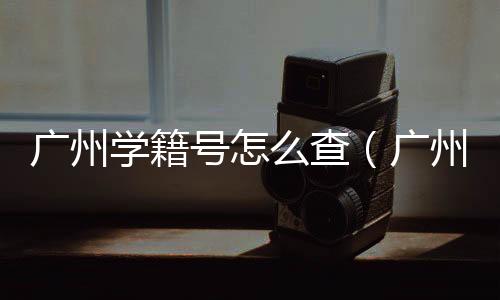 廣州學(xué)籍號怎么查（廣州市學(xué)籍系統(tǒng)學(xué)籍號跟全國學(xué)籍號一樣嗎）
