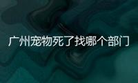 廣州寵物死了找哪個部門處理?？廣州寵物殯葬服務有限公司