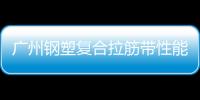 廣州鋼塑復合拉筋帶性能說明