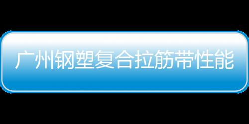 廣州鋼塑復合拉筋帶性能說明