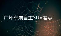 廣州車展自主SUV看點：MG ZS/寶駿510首發