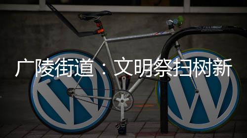 廣陵街道：文明祭掃樹新風 抵制邪教護童心_