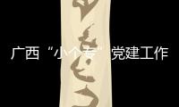 廣西“小個專”黨建工作為民營經濟發展注入“紅色能量”
