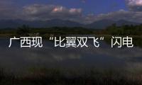 廣西現“比翼雙飛”閃電奇觀