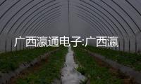 廣西瀛通電子:廣西瀛