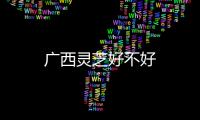 廣西靈芝好不好