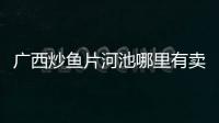 廣西炒魚片河池哪里有賣有關廣西炒魚片河池的詳細內容