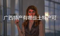 廣西特產有哪些土特產可以帶走:廣西可帶特產