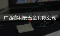 廣西睿利安五金有限公司:廣西睿安電子