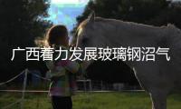 廣西著力發展玻璃鋼沼氣池,行業資訊