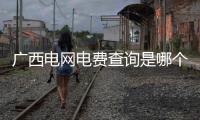 廣西電網(wǎng)電費(fèi)查詢是哪個(gè)app:廣西電網(wǎng)電費(fèi)查詢