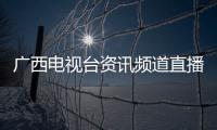 廣西電視臺資訊頻道直播:廣西電視臺資訊頻道