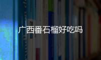 廣西番石榴好吃嗎